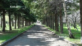 Սեւանա լճի շրջակայքում նախատեսվում է 1094,5 հեկտար անտառի հիմնում