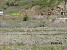 Cyanogen in Meghradzor Resort May Come True (Photos)