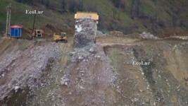 Պղնձե եւ ոսկե ձկնիկները հանքարդյունաբերական ընկերությունների պղտոր ջրերում