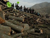 Создан Всеармянский природоохранный фронт