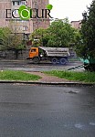 Ավանում կտրում են կանաչ ծառերը