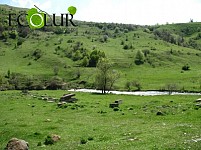 Ինչ ապագա է սպասվում Ստեփանավանին (Լուսանկարներ)