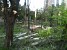 Slaughter of Trees Directly in Front of Mayor Taron Margaryan’s House (Photos)