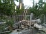 Slaughter of Trees Directly in Front of Mayor Taron Margaryan’s House (Photos)