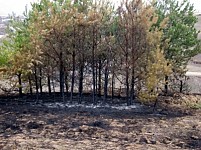 Այրվում է Լոռու մարզը (Լուսանկարներ)
