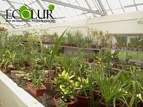 Botany Institute Has No Sufficient Funds to Pay for Irrigation Water