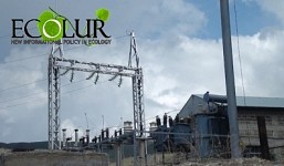 SHHPs or Solar Energy?