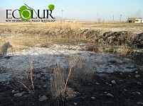 Slogan for World Day to Combat Desertification 2013 - Don't Let Our Future Dry Up
