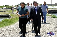 Сформируется консультативный совет рыбоводов при Министерстве охраны природы
