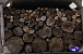 Sixteen Trucks Transporting Timber Detected