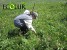 32.4 Ha of Forest Planted in Lori Region (Photos)