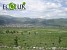 32.4 Ha of Forest Planted in Lori Region (Photos)