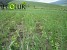 32.4 Ha of Forest Planted in Lori Region (Photos)