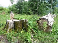 Forests of Getahovit Mountains Chopped