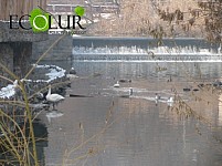 Another Alarm Signal about Dumping Waste Water to Hrazdan River