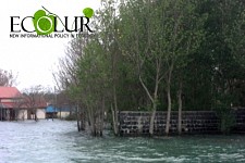 Բնապահպանության նախարարությունը թաքցնում է անտառներից Սեւանա լճի ափերի մաքրման մասին տվյալները