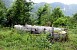 Forests of Getahovit Mountains Chopped Forests of Getahovit Mountains Chopped