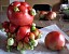 Look at Mutated Fruit Then Consider About Safety of Nuclear Power Plants