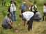 Destroyed monoculture pine stands replaced by broad-leaf species Destroyed monoculture pine stands replaced by broad-leaf species