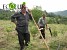 Destroyed monoculture pine stands replaced by broad-leaf species Destroyed monoculture pine stands replaced by broad-leaf species