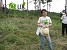 Destroyed monoculture pine stands replaced by broad-leaf species Destroyed monoculture pine stands replaced by broad-leaf species