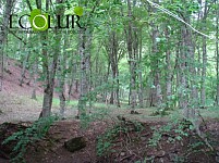 Construction of Resort House Planned in Dilijan National Park