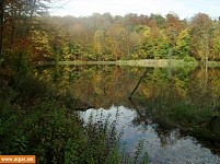 SOS: Gosh Lake Waterlogging