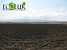 Shirak Region Losing Its Agricultural Land Areas