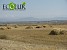 Shirak Region Losing Its Agricultural Land Areas