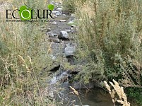 ՓՀԷԿ-երը արդեն կառուցում են ոչ թե գետերի, այլ առվակների վրա (Լուսանկարներ)