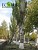 Հերթական ահազանգը ծառահատումների մասին Հերթական ահազանգը ծառահատումների մասին