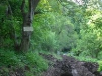 Losing Shikahogh: Government Merging it with “Zangezour” Bioatmospheric Complex