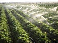 Territorial Administration Ministry Meeting with Farmers on Eve of Irrigation Period
