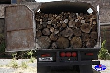 Cases of Illegal Timber Transportation Detected