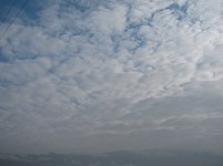 What is Weather for March 13