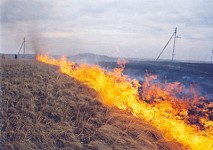 Fires in Grass-Covered Territories