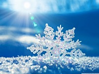 What is Weather for March 31