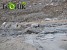 Ոչ թե քարերի, այլ պոչերի երկիր (Լուսանկարներ)