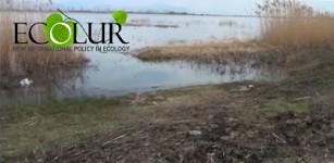 Араратская долина: это озера, или рыбные хозяйства?
