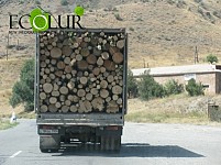 «Արփա-3» ՓՀԷԿ-ի կառուցման դեպքում կհատվի 442 ծառ