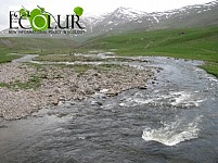 Gizhget River in Crisis