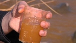 Вода Гехарот отравленная, жители Арагац нуждаются в помощи экологов