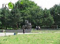 Молодежь Дсеха: В Дсехе люди пьют грязную воду