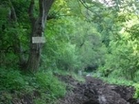 KfW образует персонал биосферного комплекса в Сюнике
