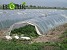Стоимость орошения 1 га, 130 тысяча драмов, которые сельчане платить не могут