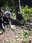 Tree Felling In Dilijan National Park Increased In Parallel with Cold Weather