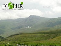 «Ջերմուկի զարգացման կենտրոն» ՀԿ-ն հրաժարվեց մասնակցել Ամուլսարի ծրագրի վերաբերյալ Կովկասի տարածաշրջանային բնապահպանական կենտրոնի հայաստանյան գրասենյակի առաջարկած քննարկմանը