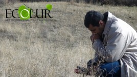 Radiation Background Measurements in Vayq Town, Azatek Community and Azatek Mine (Photo)