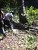 Forests of "Dilijan" National Park Felled: Nature Protection Ministry Counting Damage Forests of "Dilijan" National Park Felled: Nature Protection Ministry Counting Damage