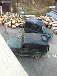 Tree Felling in Dilijan National Park